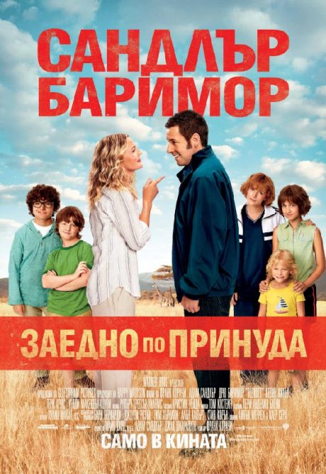 Blended / Заедно по принуда (2014)