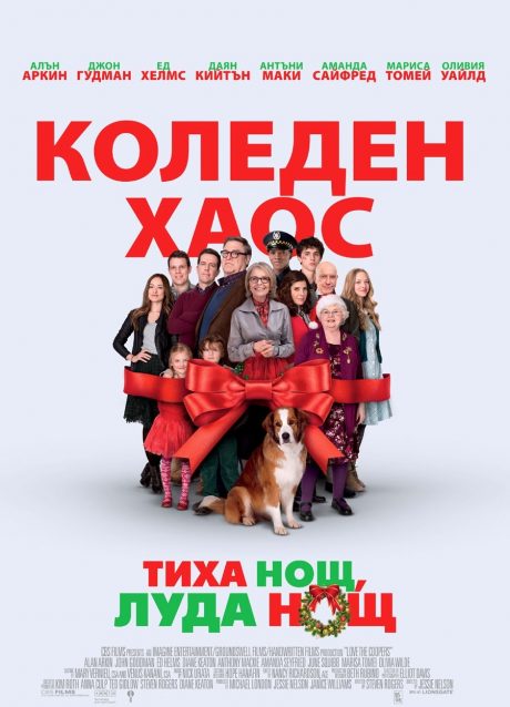 Love the Coopers / Тиха нощ, луда нощ (2015)